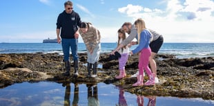 Festival will celebrate the wildlife of the coast